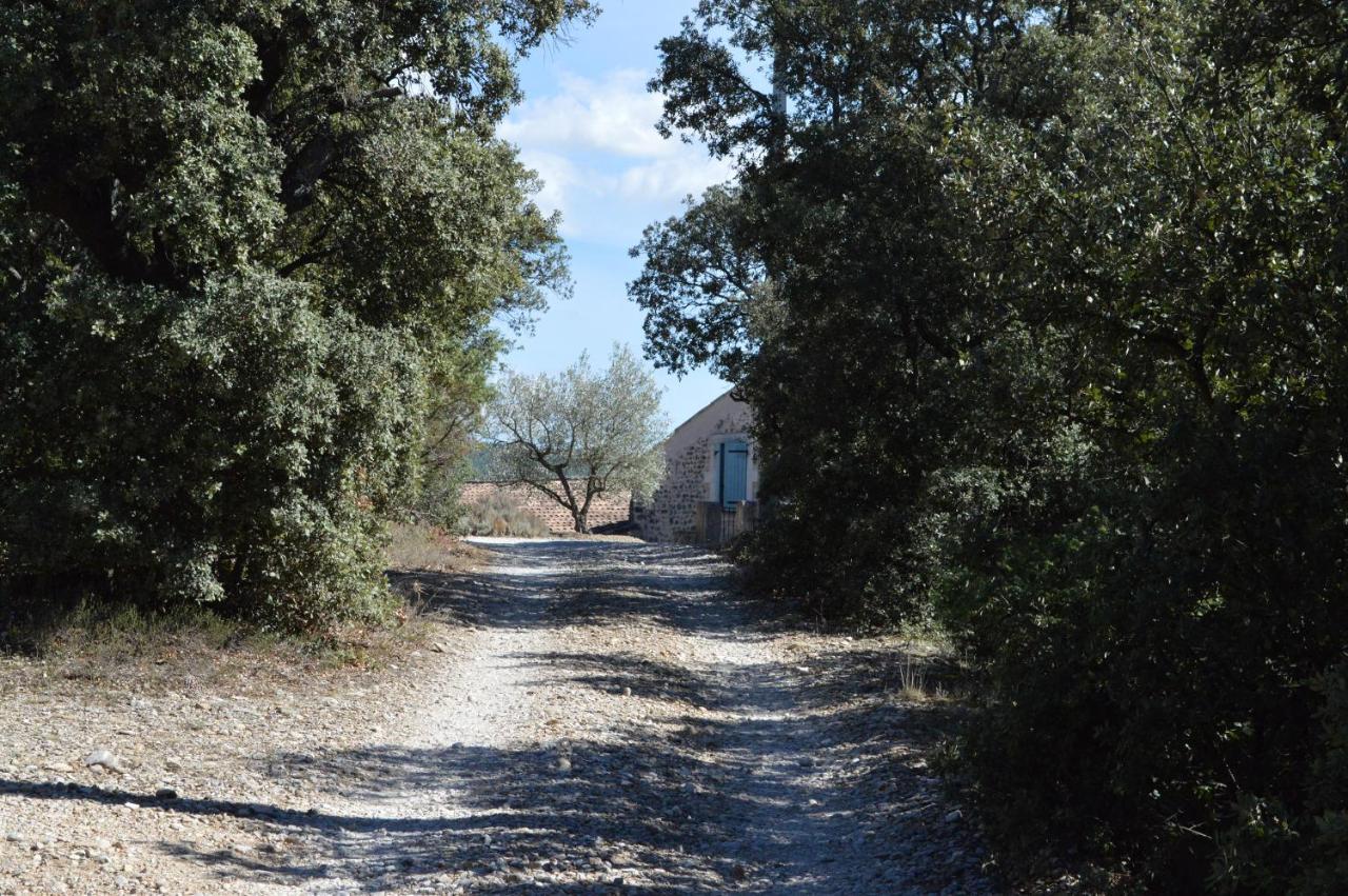 Ferme De Palumiane - Chambres Climatisees Visan Kültér fotó